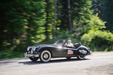 Galerie Carlsbad Classic