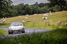 Galerie Carlsbad Classic
