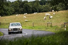 Galerie Carlsbad Classic